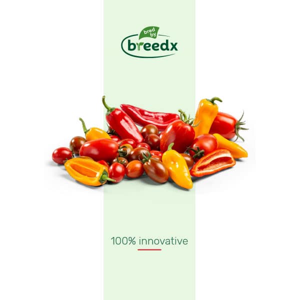 Breedx Brochure 2025