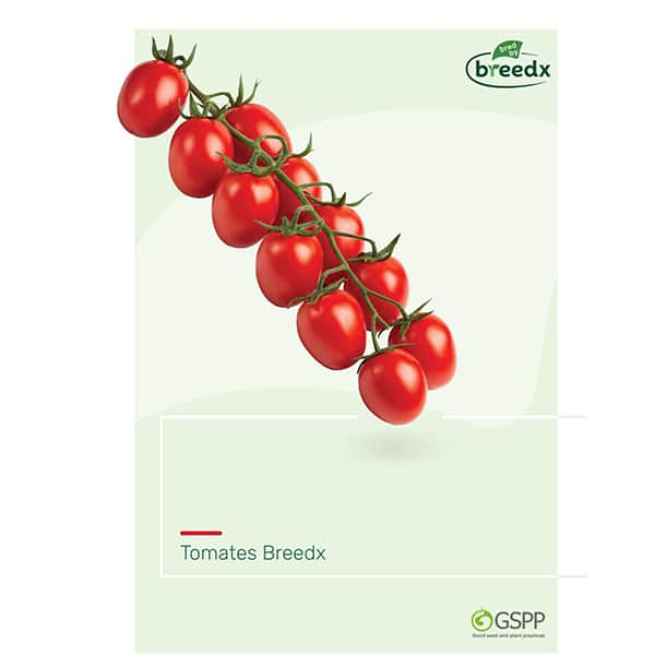 Catalog Tomatoes 2025 SPN 1600