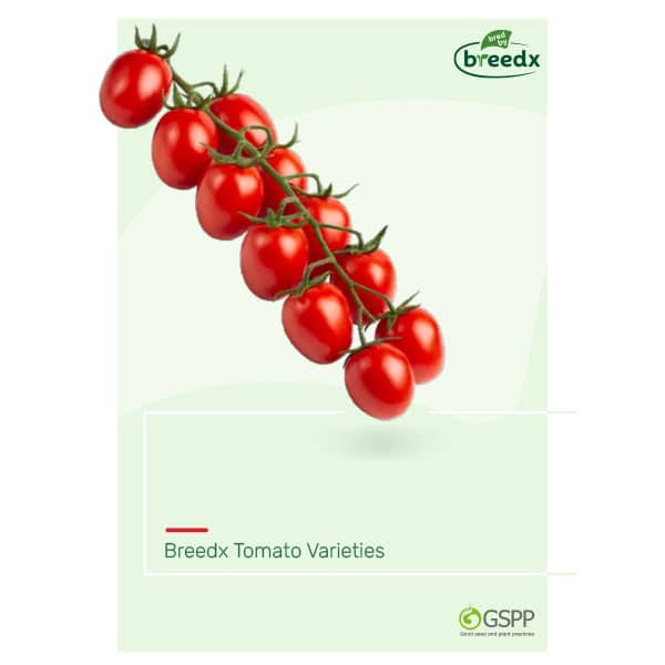 tomatoes catalog