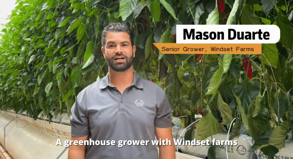 Screenshot 2025 09 10 at 16 38 22 breedx video testimonial.mp4 scaled 1