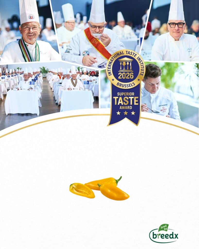 Yellow Pepperito