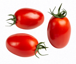 roma tomato